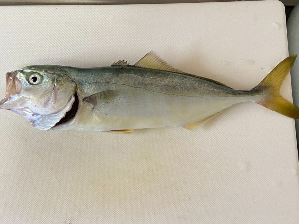 政宗３ 真田丸攻城戦で愛姫背景出現時は復活確定 Bgm変化してatに突入させた結果は ミヤチェケのスロ日記