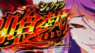 Thumbnail of post image 005